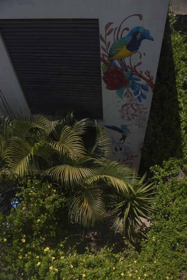 Apartamento Departamentos Internazionale Mérida Exterior foto